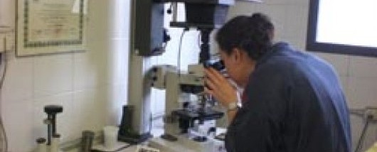 Controlli metallografici